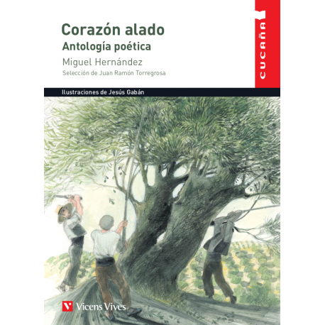 Corazón Alado - Cucaña FSC
