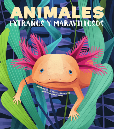 Animales Extraños Y Maravillosos (Vvkids)