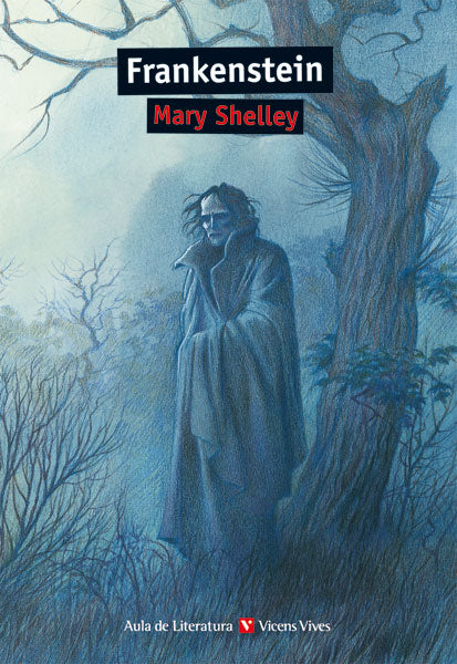 Frankenstein N/C- Aula De Literatura