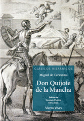 Don Quijote De La Mancha (Clasicos Hispanicos)