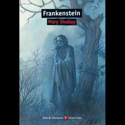 Frankenstein N/C- Aula De Literatura fsc