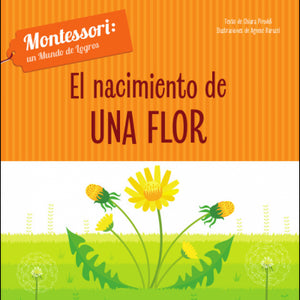 El Nacimiento De Una Flor (Vvkids)